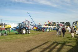 fieldays